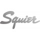 Squier logo naklejka na gitarę