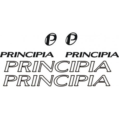  PRINCIPIA  naklejki zastępcze na rower damski, męski, gravel, górski, mtb, szosowy, trekkingowy, miejski - YESS Naklejki