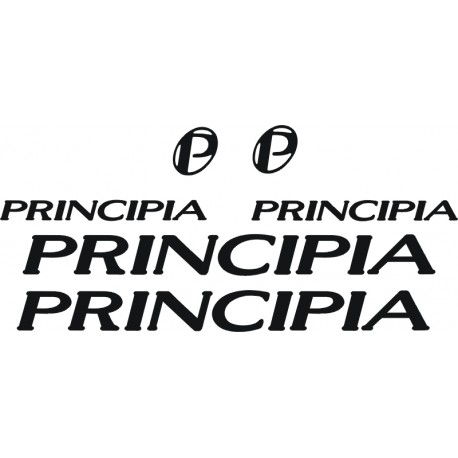  PRINCIPIA  naklejki zastępcze na rower damski, męski, gravel, górski, mtb, szosowy, trekkingowy, miejski - YESS Naklejki