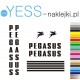 PEGASUS Naklejki zastępcze rower damski, rower męski, gravel, górski, mtb, szosowy, trekkingowy, miejski - YESS Naklejki