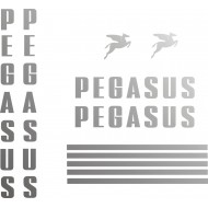 PEGASUS 94-2R 