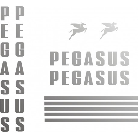 PEGASUS 94-2R 