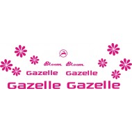 Gazelle 204 G