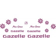 Gazelle 205 G