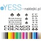 COLNAGO  naklejki zastępcze na rower damski, męski, gravel, górski, mtb, szosowy, trekkingowy, miejski - YESS Naklejki