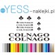 COLNAGO  naklejki zastępcze na rower damski, męski, gravel, górski, mtb, szosowy, trekkingowy, miejski - YESS Naklejki