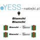 BIANCHI by Gucci naklejki zastępcze na rower damski, męski, gravel, górski, mtb, szosowy, trekkingowy, miejski - YESS Naklejki
