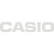CASIO  naklejka   - YESS Naklejki