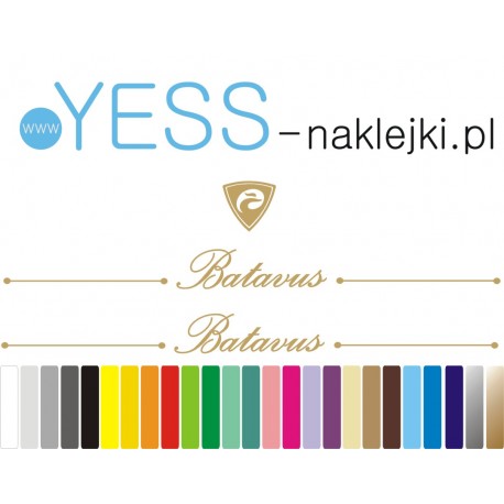 BATAVUS naklejki zastępcze na rower damski, męski, gravel, górski, mtb, szosowy, trekkingowy, miejski - YESS Naklejki