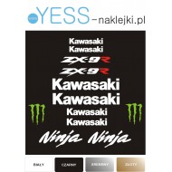 KAWASAKI NINJA ZX-9R naklejki tuningowe na motocykl  na owiewke na zadupek    YESS Naklejki