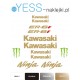 KAWASAKI NINJA ER-6F naklejki tuningowe na motocykl  na owiewke na zadupek    YESS Naklejki