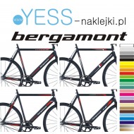 BERGAMONT naklejki zastępcze na rower damski, męski, gravel, górski, mtb, szosowy, trekkingowy, miejski - YESS Naklejki