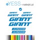 GIANT JUNIOR naklejki na rower dziecięcy dla chłopca naklejki zastępcze  - YESS Naklejki
