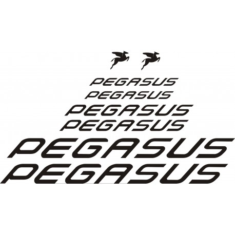 PEGASUS naklejki zastępcze rower damski, rower męski, gravel, górski, mtb, szosowy, trekkingowy, miejski - YESS Naklejki