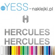 HERCULES naklejki zastępcze na rower damski, męski, górski, mtb, szosowy, trekkingowy, miejski - YESS Naklejki.pl