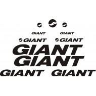 GIANT 4-2B