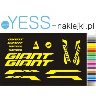 GIANT SHIMANO naklejki na rower szosowy zestaw naklejek na rame i widelec, sklep YESS Naklejki.pl 