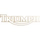 TRIUMPH -4