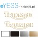 TRIUMPH Naklejka na bak  motocykl  YESS Naklejki