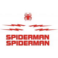 SPIDERMAN 161-4
