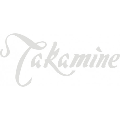 TAKAMINE naklejki na gryf, naklejki na gitarę, naklejki na główkę gitary - YESS Naklejki