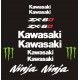 KAWASAKI NINJA  ZX-6D naklejki na motocykl