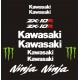 KAWASAKI NINJA ZX-10R naklejki na motocykl