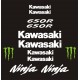 KAWASAKI NINJA 650R /  WZÓR 340-15