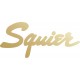 Squier logo naklejka na gitarę