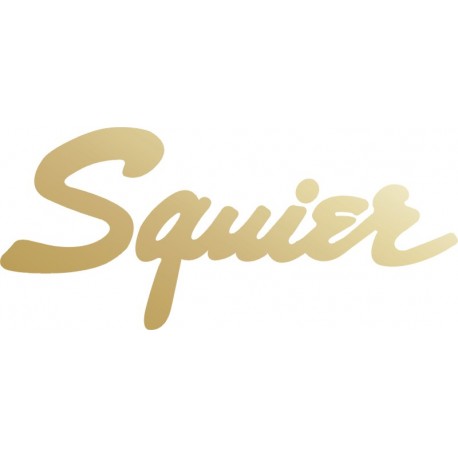 Squier logo naklejka na gitarę